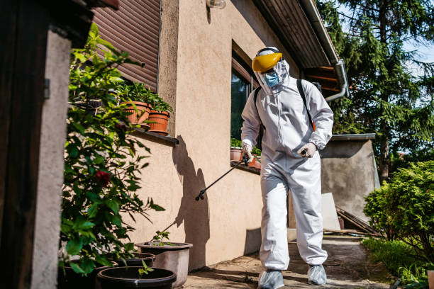 Best Termite Control Services  in Dillonvale, OH