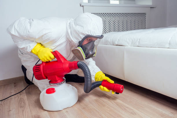 Best Residential Pest Control  in Dillonvale, OH