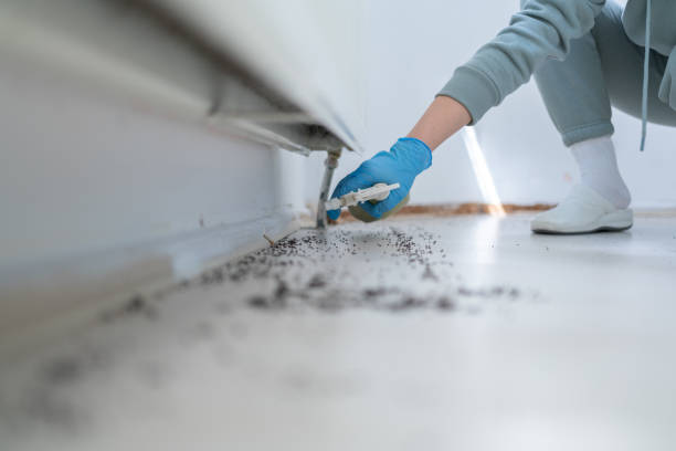 Best Cockroach Control Services  in Dillonvale, OH